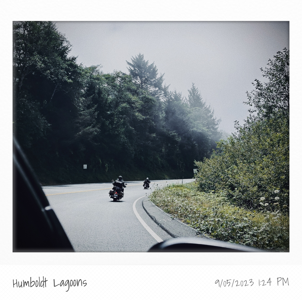 Humboldt Lagoons
