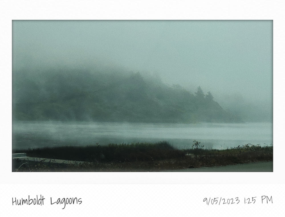 Humboldt Lagoons